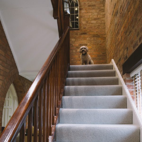 Hall stairs
